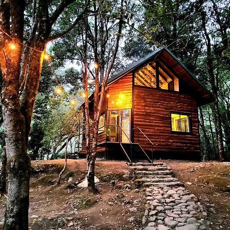 Unicorn Lodge: Direct Riverfront : Unique Experience 산제라르도 데 도타 외부 사진