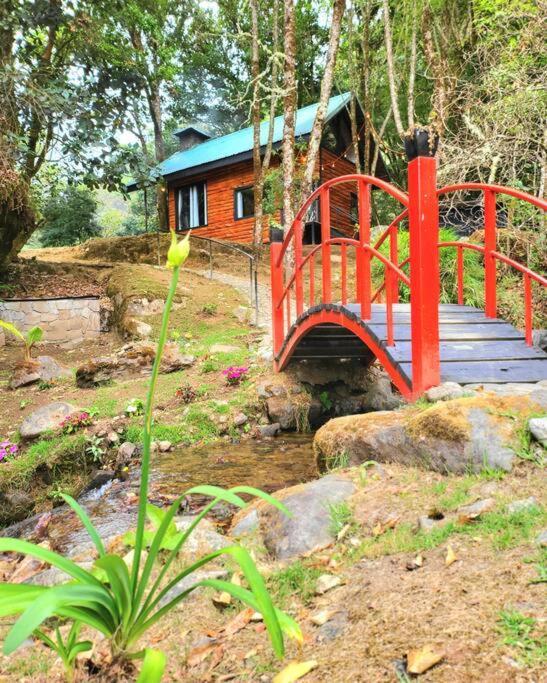 Unicorn Lodge: Direct Riverfront : Unique Experience 산제라르도 데 도타 외부 사진