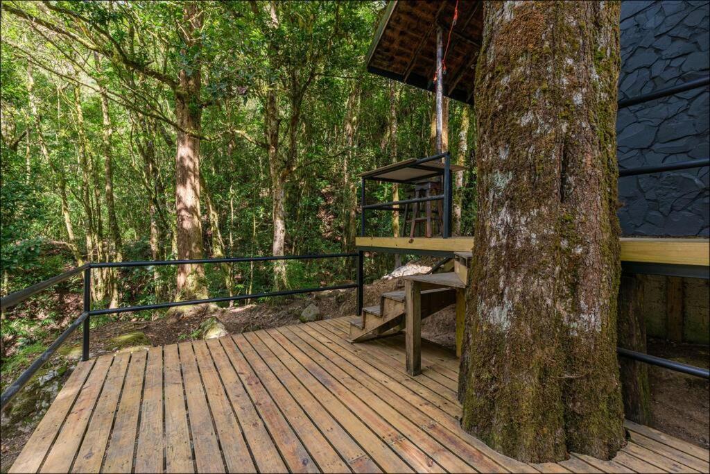 Unicorn Lodge: Direct Riverfront : Unique Experience 산제라르도 데 도타 외부 사진