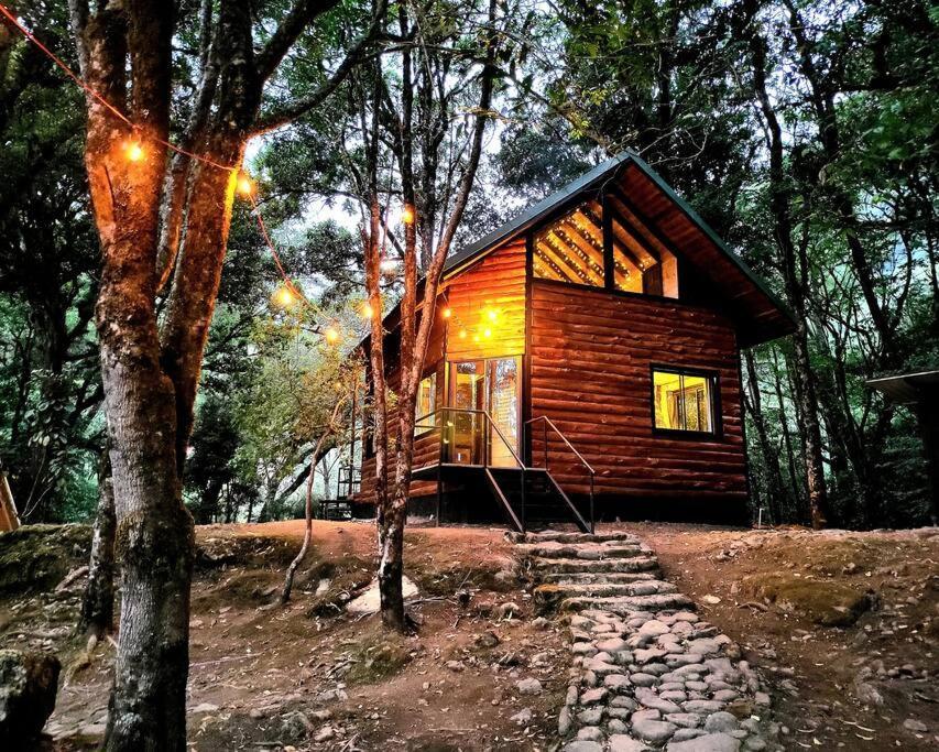Unicorn Lodge: Direct Riverfront : Unique Experience 산제라르도 데 도타 외부 사진