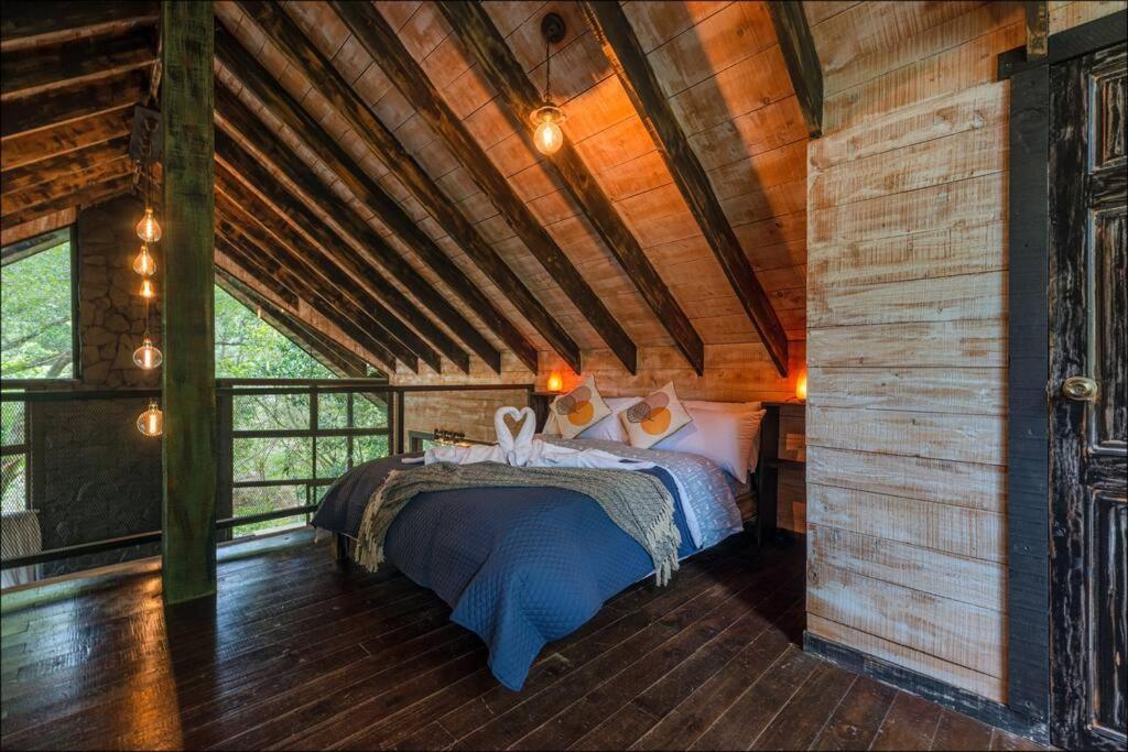 Unicorn Lodge: Direct Riverfront : Unique Experience 산제라르도 데 도타 외부 사진