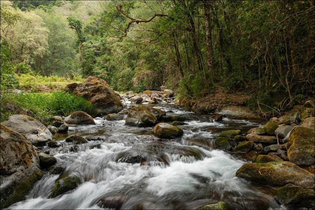 Unicorn Lodge: Direct Riverfront : Unique Experience 산제라르도 데 도타 외부 사진