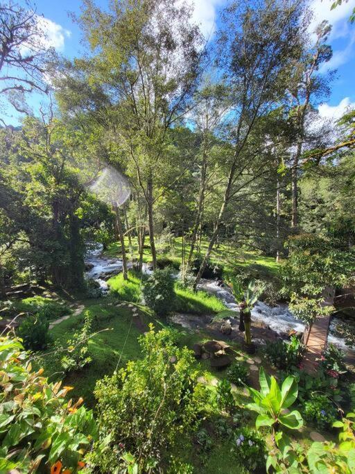 Unicorn Lodge: Direct Riverfront : Unique Experience 산제라르도 데 도타 외부 사진
