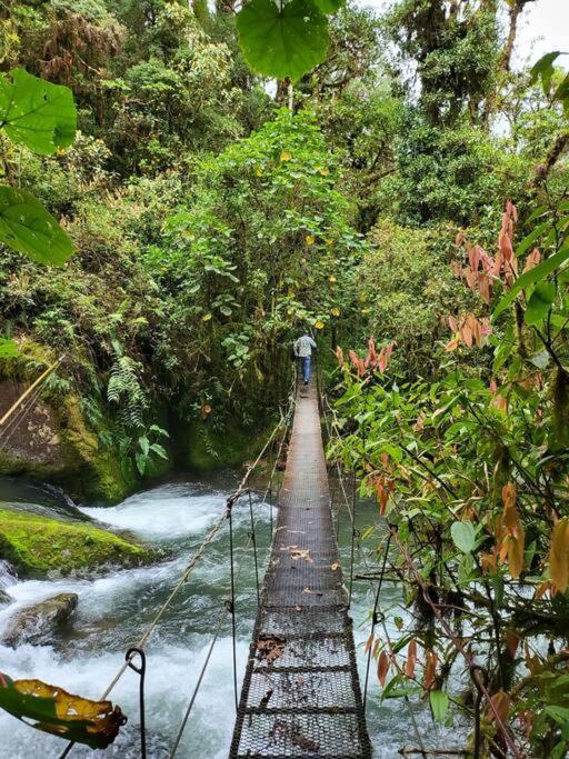 Unicorn Lodge: Direct Riverfront : Unique Experience 산제라르도 데 도타 외부 사진